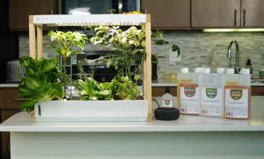 Rise Garden Announces Their Personal Indoor Smart Garden